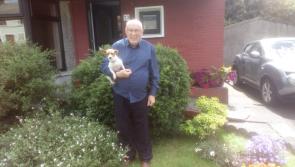 Reunited after three years  - family overjoyed as much loved pet returns home