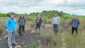 Beggars belief that Longford wind farm is going ahead