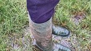 Longford Leader Farming: Which drainage system works for you?