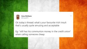 TWITTER THREAD: "What's your favourite Irish insult?" - There's some absolute gems here!