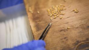Warning issued to people who may receive mysterious seeds in the post 