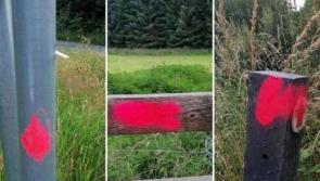 Beware of markings which identify properties for burglars or dog thieves 