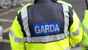 Gardaí found 13 licensed premises in breach of guidelines last week as part of Operation Navigation 