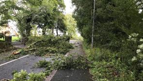 Over 2,000 Longford homes and businesses still without power