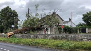 WATCH: 'I could feel the house shaking' — resident speaks of fear after Storm Ellen hits 