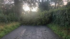 Dozens of homes across Longford face into second full day without power