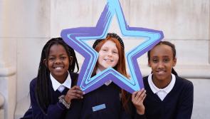 European Blue Star programme now open to Longford primary schools