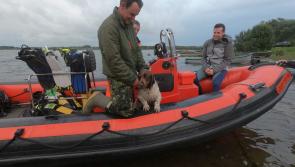 Elderly dog rescued from lake by Lanesboro's Lough Ree Sub Aqua Club