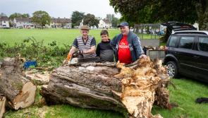 Storm Ellen clean up bill to cost Longford County Council €10,000