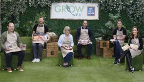 Longford suppliers invited to Grow with Aldi