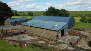 GALLERY | Superb 100 acre Longford fattening farm to be sold at auction