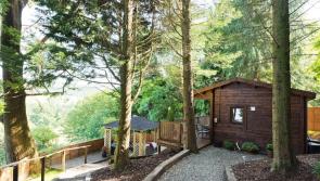 STAYCATION: Take the road less travelled with this stunning woodland retreat