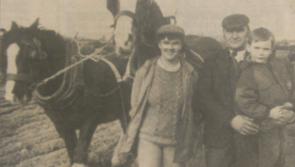 Ploughing 2020: Longford Ploughing Memories  from 1992 