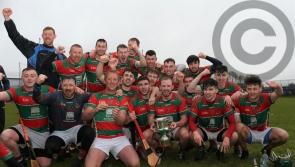 Wolfe Tones crowned the kings of Longford hurling once again
