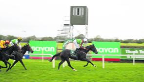 Longford trainer rejoices as horses hit form