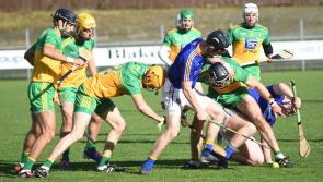 Crucial  second half goals give Donegal  the  edge over the Longford hurlers 