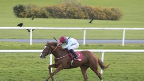 Longford trainer Paul Flynn wins at Gowran Park with MK Drama
