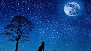 Rare blue moon over Longford this Halloween - and astronomy Ireland would love to see your photos