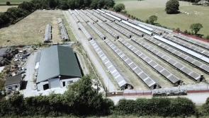 Plans unveiled to demolish massive former Mink Farm in the Midlands