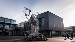 IT Sligo takes step towards Technological University status