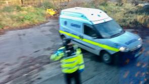 Driver 'ran out of wine' while self isolating due to Covid-19