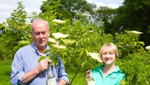 A taste of Longford in the far east as Richmount Cordial ships to Japan