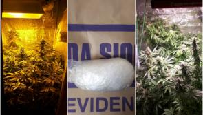 Longford gardaí seize €24,000 worth of suspected cannabis plants and cocaine in two separate drugs busts