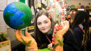 Longford students take on local and international issues at the BT Young Scientist & Technology Exhibition 2021