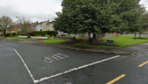 Pair allegedly armed with weapons in violent Longford row to plead not guilty 