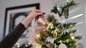 POLL: Longford people! Have you put your Christmas tree up yet?