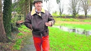 Oliver Goldsmith's ‘humble origins’ in Longford and Westmeath remembered