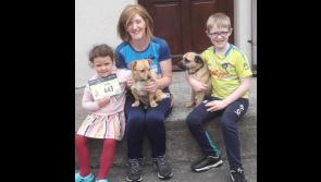 Longford vet in Wild Atlantic Way virtual fundraiser for Cian’s Kennels