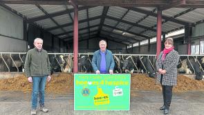 FBD Insurance joins forces with Hooves4Hospice