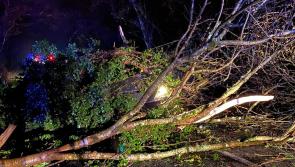 Longford County Council bosses count cost of Storm Barra fallout