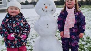 Snowy Longford Gallery 4: A selection of lovely Longford sneactha photos