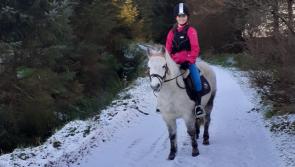 Snowy Longford Gallery 7: Snow fun in Longford winter wonderland 
