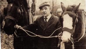 Longford mourns death of legendary ploughman Eugene McGerr