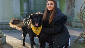 Brain surgery survivor and her 'furry friend’ embark on charity walking challenge