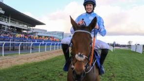 Unbeaten Honeysuckle bids for more Dublin Racing Festival glory this weekend