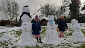 Will there be snow? Met Éireann weather forecast for the week ahead #SNEACHTA