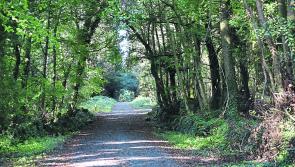 Longford in Spring: Short movie brings Longford's attractions to life