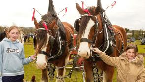 GALLERY | A trip down Memory Lane in Longford as dancing, ploughing, social occasions and GAA all feature 
