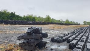 Turf war declared as Minister Ryan seeks views on controlling peat use