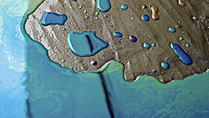 Inland Fisheries Ireland and Longford County Council investigate oil spill in local river