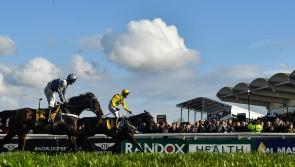 CHELTENHAM PREVIEW: Our man runs the rule over the runners and riders 