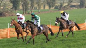 Horse Racing Ireland announce five additional meetings to meet Point-to-Point demand