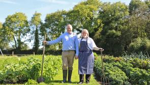 Longford tourism businesses all set for Virtual Meitheal