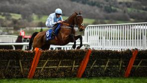 CHELTENHAM RESULTS FOR DAY 1 OF THE 2021 FESTIVAL