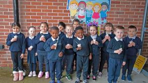 GALLERY | A welcome  ice cream treat for Longford pupils at St Joseph’s national school