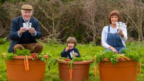 Longford library offering free seeds as part of Grow It Foward campaign